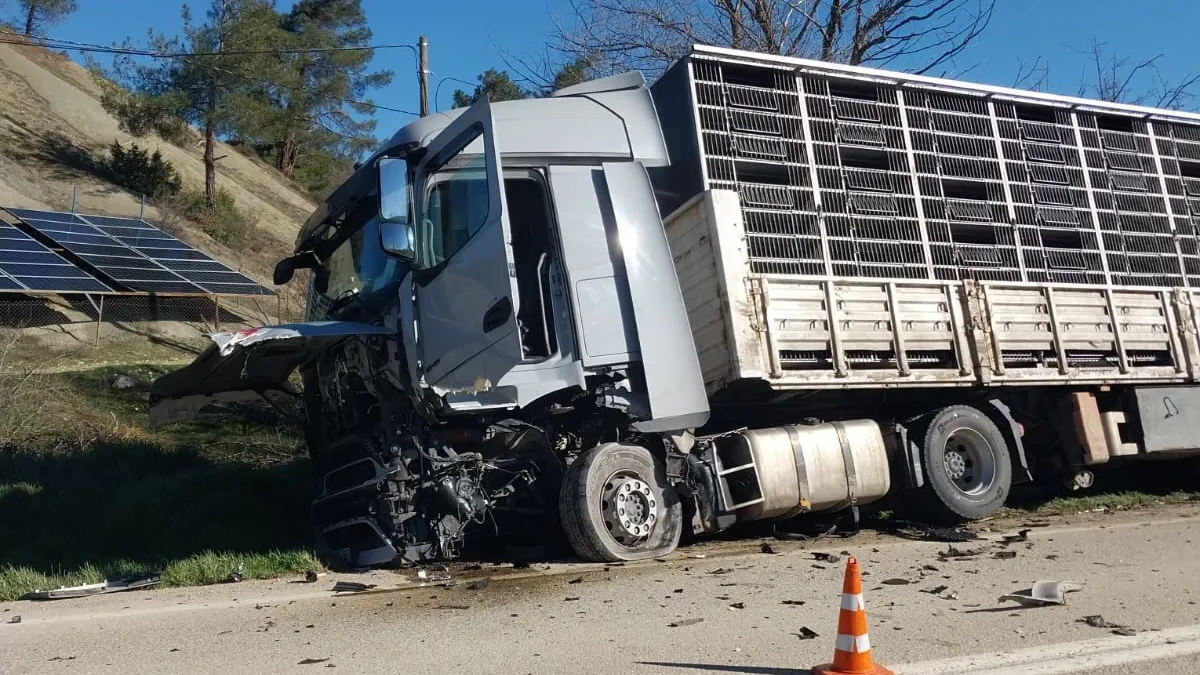 Sakarya’da TIR ile otomobil çarpıştı: Sıkışan sürücü kurtarılamadı! Sakarya’da TIR ile otomobil çarpıştı: Sıkışan sürücü kurtarılamadı!