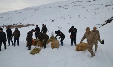 Muş’ta yaban hayvanları için karlı dağlara yem bırakıldı