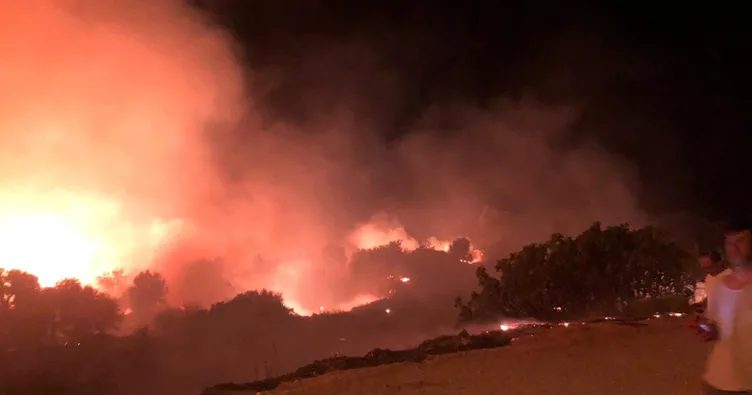 Son dakika: Çeşme’de otluk alanda yangın!