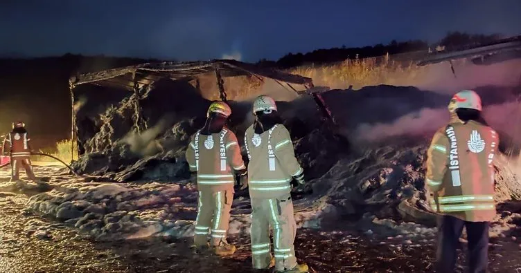 Kuzey Marmara Otoyolu’nda saman yüklü TIR yandı
