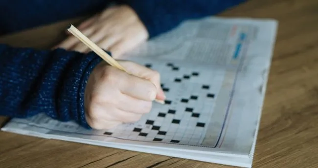 Gümüş Balığı Bulmaca Cevabı - Bulmacada Gümüş Balığının Küçüğü Ne Demek?