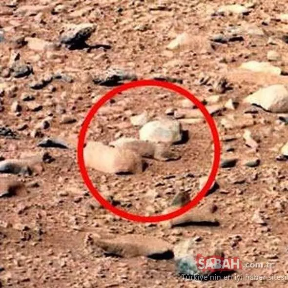 Mars'tan gelen fotoğraflar kan dondurdu! Dünyayı şaşkına çevirdi!