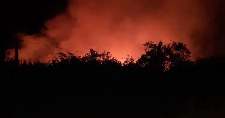 Elazığ’da orman yangını! Ekiplerin müdahalesi sürüyor