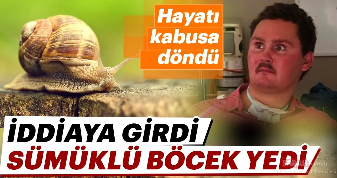 İddiaya girdi sümüklü böcek yedi! Sonrası korkunç… Son Dakika Haberler İddiaya girdi sümüklü böcek yedi! Sonrası korkunç… Son Dakika Haberler