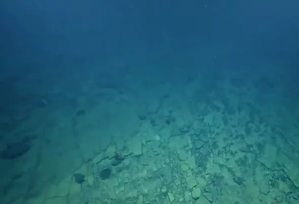 Okyanus dibinde gizemli yol! Bilim insanları şaşkın...