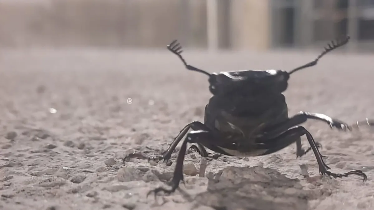 O ilimizde görüldü: Zarar verene 557 bin TL ceza! O ilimizde görüldü: Zarar verene 557 bin TL ceza!