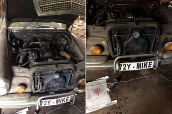 20 yıl sonra ahırdan çıktı