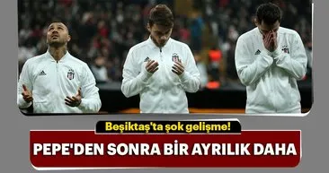 Pepe'den sonra Ljajic de...
