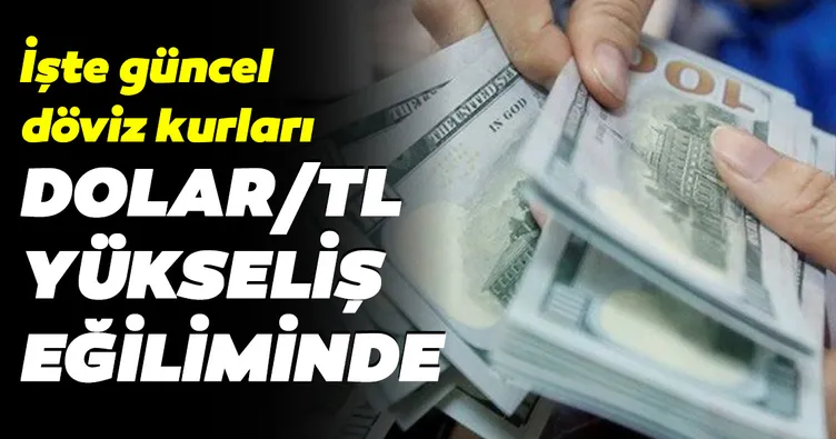 Dolar/TL yükseliş eğiliminde! İşte güncel döviz kurları