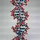 DNA bulundu