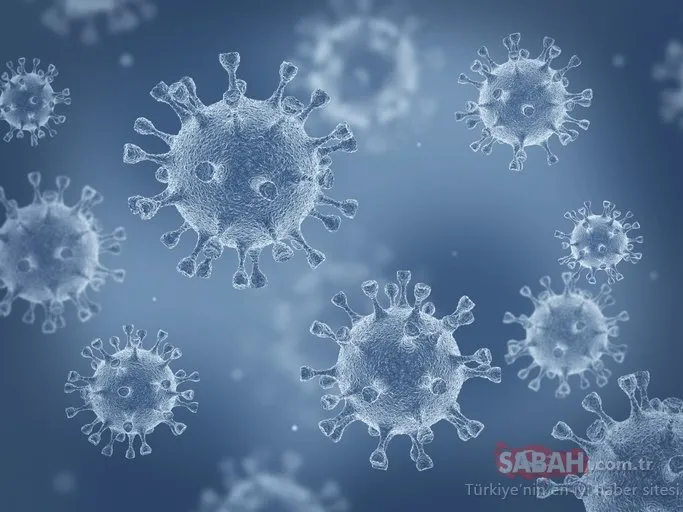 Son dakika haberi: Bilim Kurulu Üyesi Tevfik Özlü açıkladı! Koronavirüsün yeni etkisi...