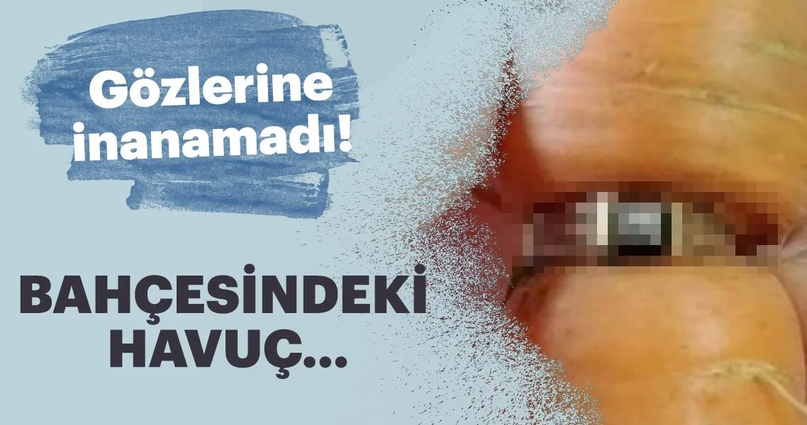 İstanbul'da alacak verecek meselesi kanlı bitti: 1 ölü – Sözcü