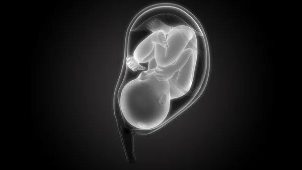 en hizli anne karninda bebek hareketleri ne zaman baslar