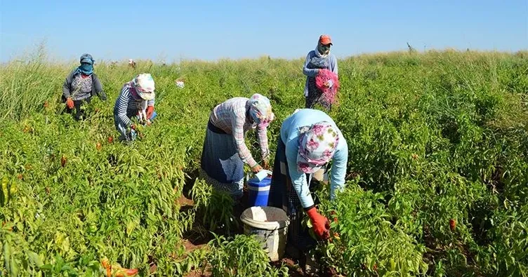 Mevsimlik işçilerin emeklilik zaferi