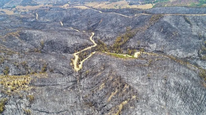 Aladağ’da yanan ormanlık alanlar drone ile görüntülendi