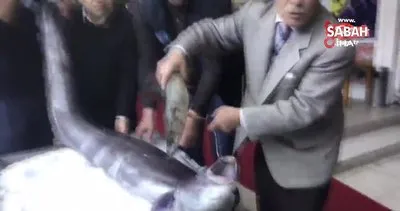Marmara’da yakalanan 3 metre boyundaki dev yılan balığı görenleri hayrete düşürdü!
