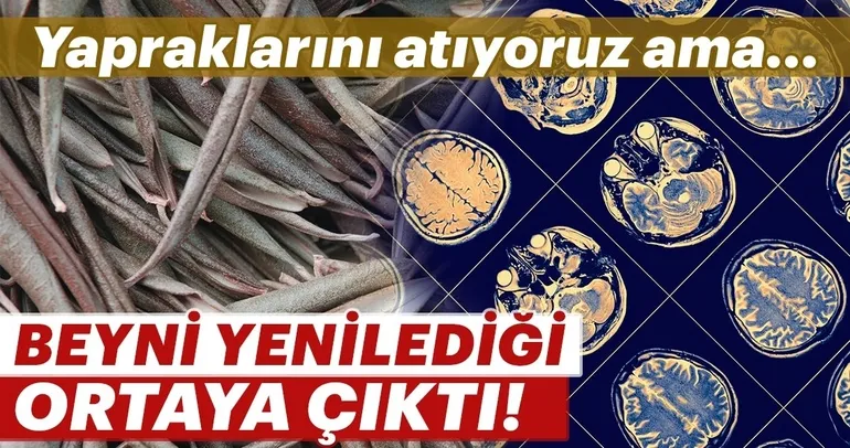 Yapraklarını atıyoruz ama...