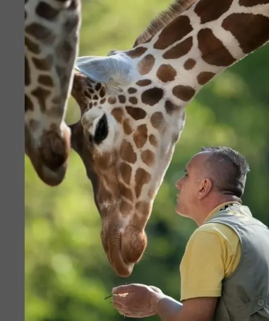 Sevgiden öte hayat bağı: