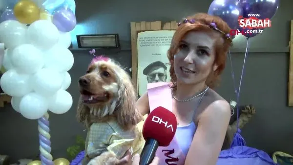 Denizli'de köpeğe göz kamaştıran muhteşem doğum günü partisi | Video