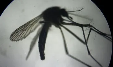 Çinli bilim insanları, sivrisineklere karşı askeri radar teknolojisi kullanacak