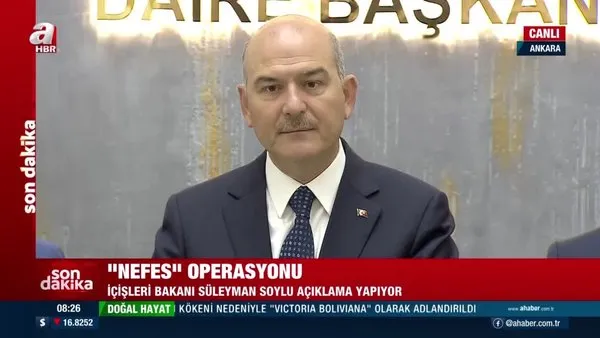 Bakan Soylu'dan 'Nefes Operasyonu' açıklaması: Kaçakçılara dev darbe | Video