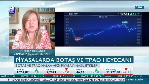 BOTAŞ ve TPAO halka arzı piyasayı nasıl etkiler?