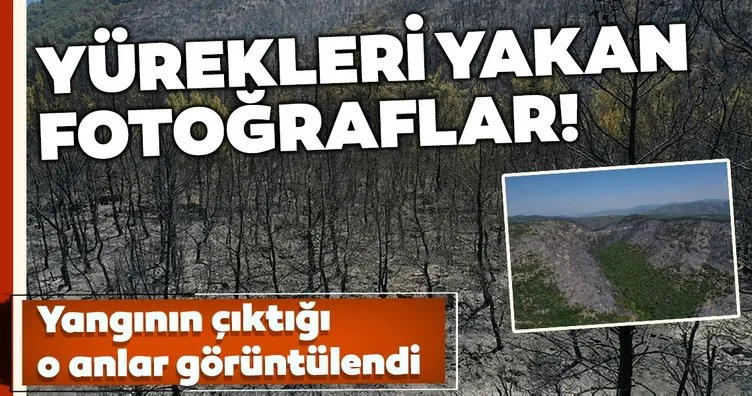 Son dakika! İzmir’de çıkan yangın sonrası yürekleri yakan fotoğraflar ortaya çıktı!