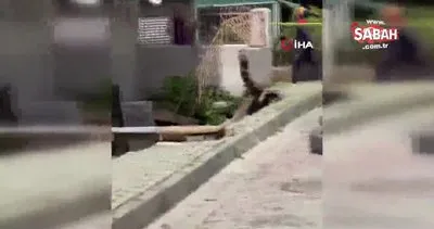 Avcılar’da kaldırım çöktü, bina boşaltıldı | Video