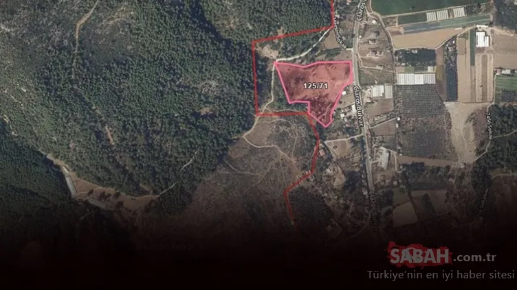 Menderes satışa doymuyor!