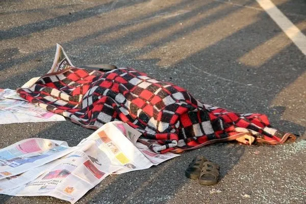 Atatürk'ün kızı Ülkü Adatepe trafik kurbanı