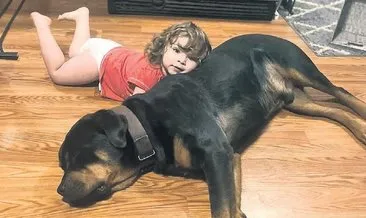 Kayıp çocuğu köpekleri korudu