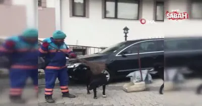 İstanbul Üsküdar’da temizlik işçisinin sokak köpeklerine süpürgeyle masaj yaptığı anlar kamerada