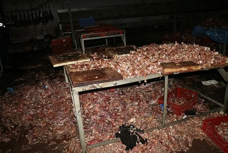 Adana’da 3 ton kesilmiş kaçak tavuk ele geçirildi