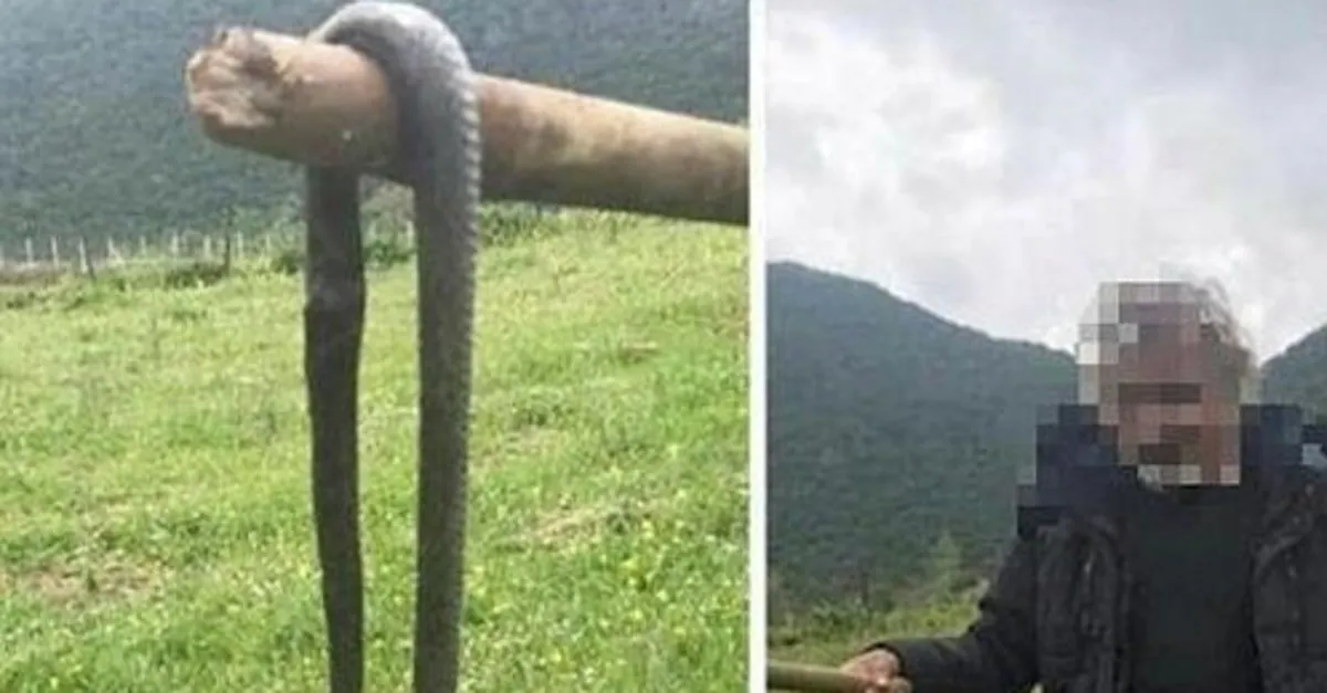 oldurdugu yilanin fotografini sosyal