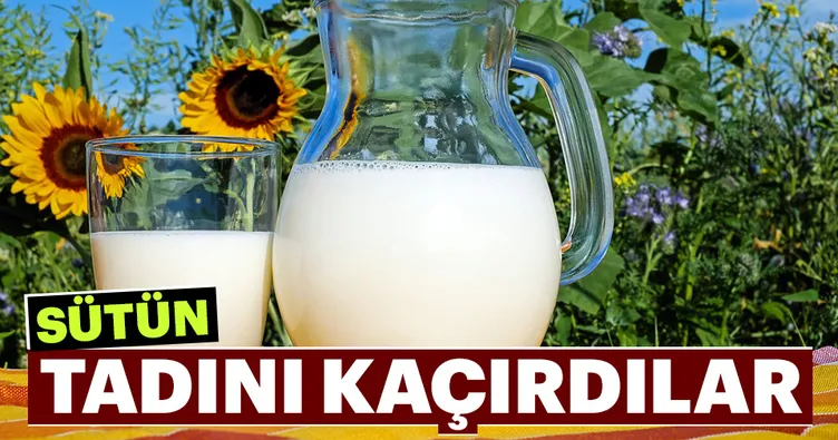 Sütün tadını kaçırdılar