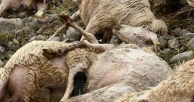 Tunceli Valisi Aygöl, “Zarar ve ziyanın karşılanması için vatandaşımızın yanında olacağız” #tunceli