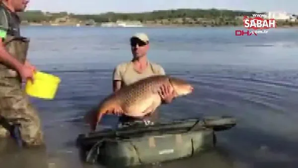 Bilecik'te tutulan 27 kiloluk dev sazan balığı kamerada | Video