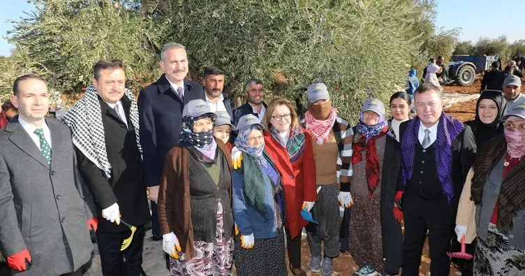 Nizip’te zeytin festivali düzenlendi