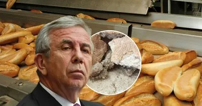Ankara’da halk ekmekteki bakteri skandalında yeni perde! AK Partili İl Başkanı açıkladı: Kendi personeline…