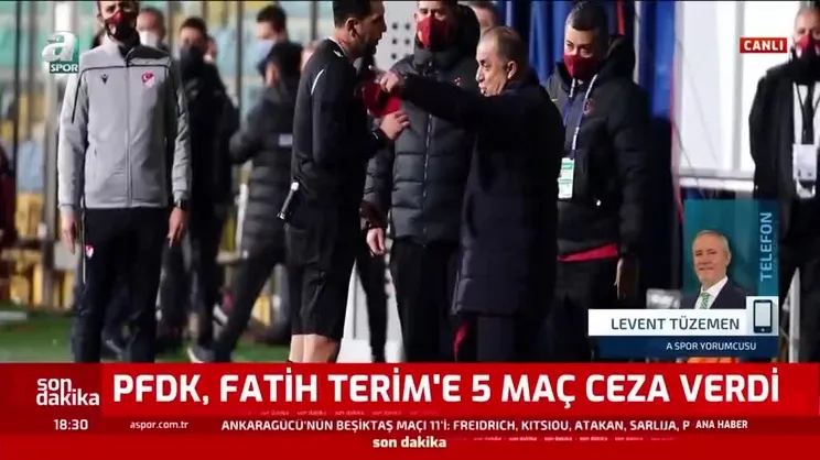Levent Tüzemen Fatih Terim'in cezasını değerlendirdi
