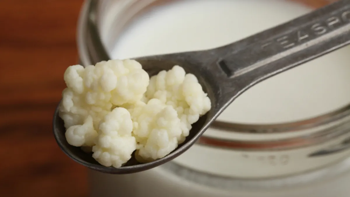 Bağışıklığı çelik gibi yapan besinler açıklandı! Kışı hasta olmadan atlatın Bağışıklığı çelik gibi yapan besinler açıklandı! Kışı hasta olmadan atlatın