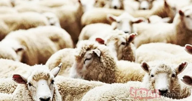 diyanet dini gunler takvimi ile 2021