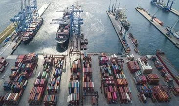 Türkiye’nin deniz salyangozu ihracatı 3,2 milyon doları aştı