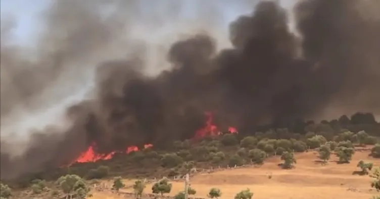 Son dakika: Milas'ta da yangın başladı - Son Dakika Haberler