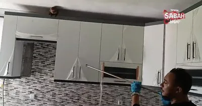 Evin mutfağındaki maymun böyle yakalandı | Video