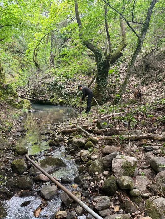 Korhan Berzeg böyle defnedilecek: 12 kemik ve kafatası!