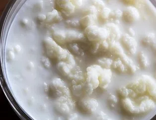 b12 vitamini eksikligi neden olur iste