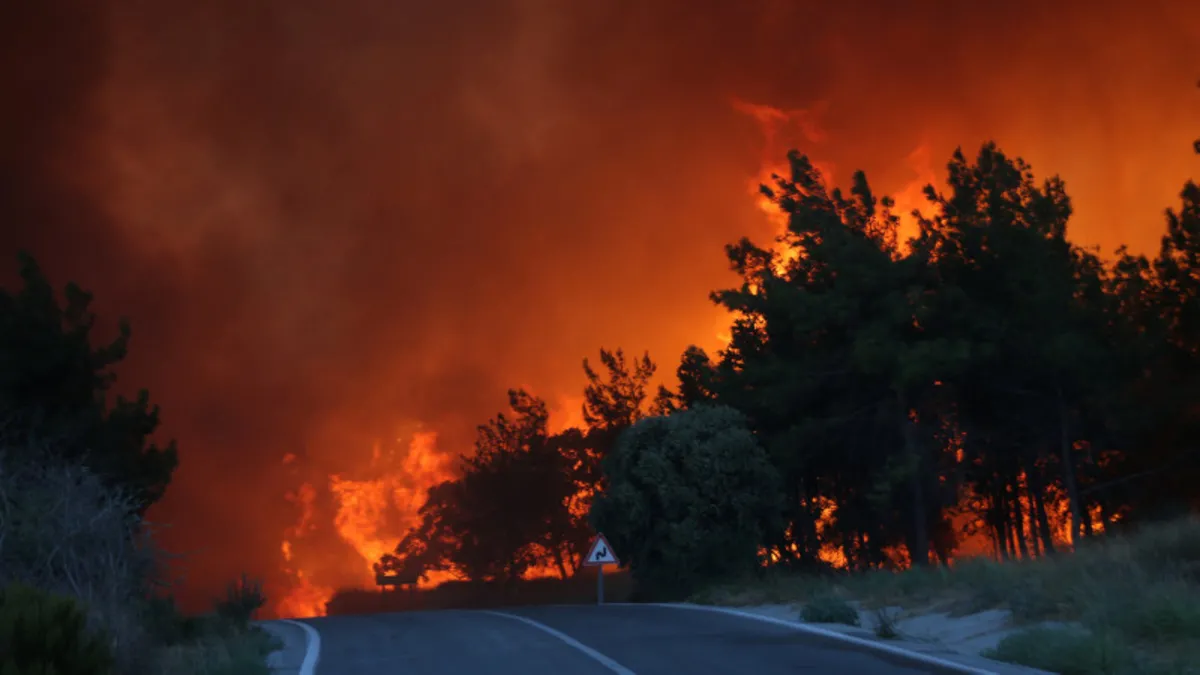 Çanakkale’de orman yangını: Bakan Yumaklı son durumu açıkladı! Çanakkale’de orman yangını: Bakan Yumaklı son durumu açıkladı!
