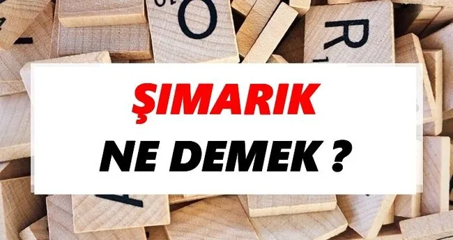 Şımarık Ne Demek? TDK’ya Göre Şımarık Sözlük Anlamı Nedir?