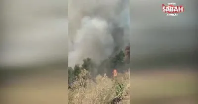 SON DAKİKA: Heybeliada’daki yangına müdahale havadan anı kamerada!